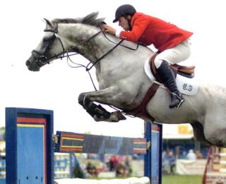 Sir Graditz - International Jumping Stallion - Trakehner Stallion